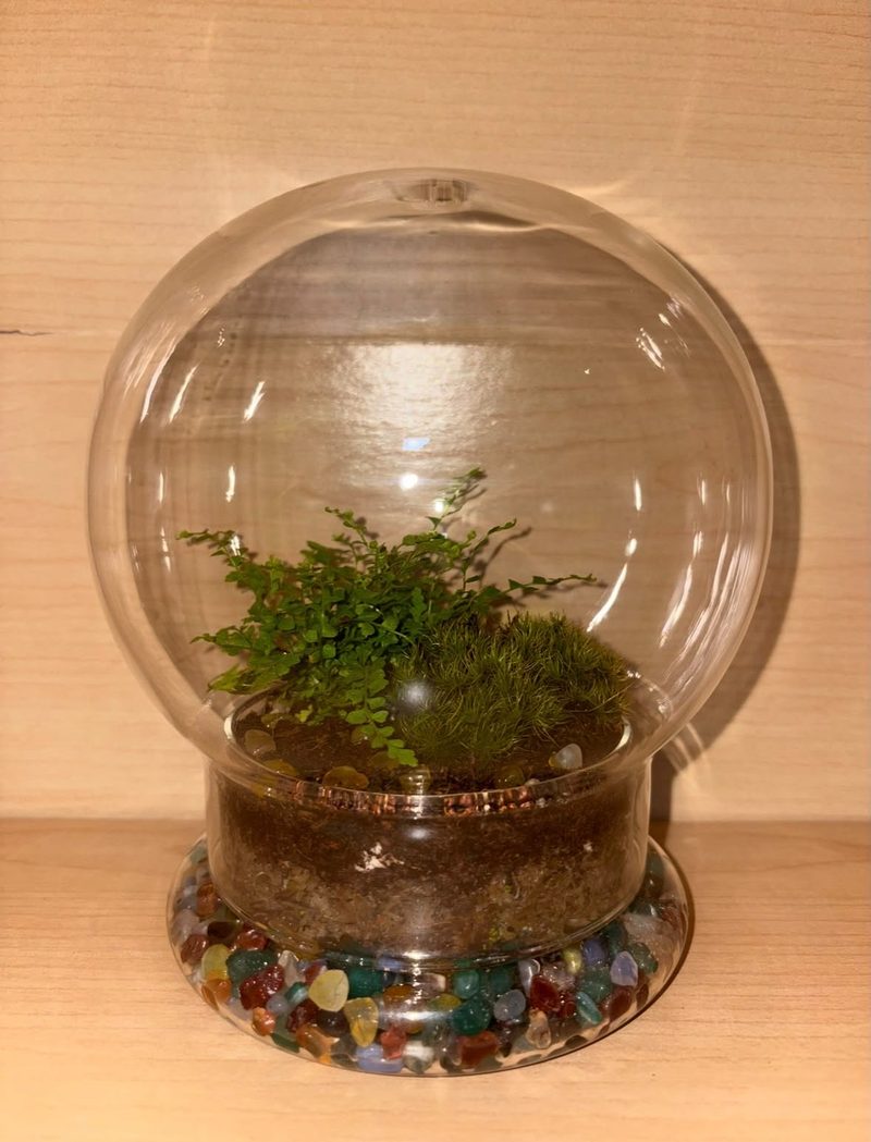 A glass globe terrarium on a wooden shelf with a small fern, a mound of cushion moss and a bed of tumbled colored stones.