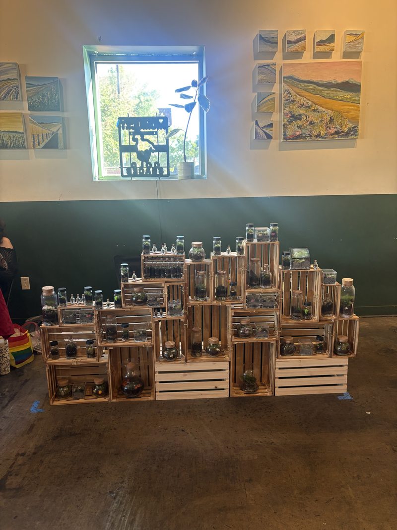 A market display of alive-ish jar terrariums stacked on wooden crates.
