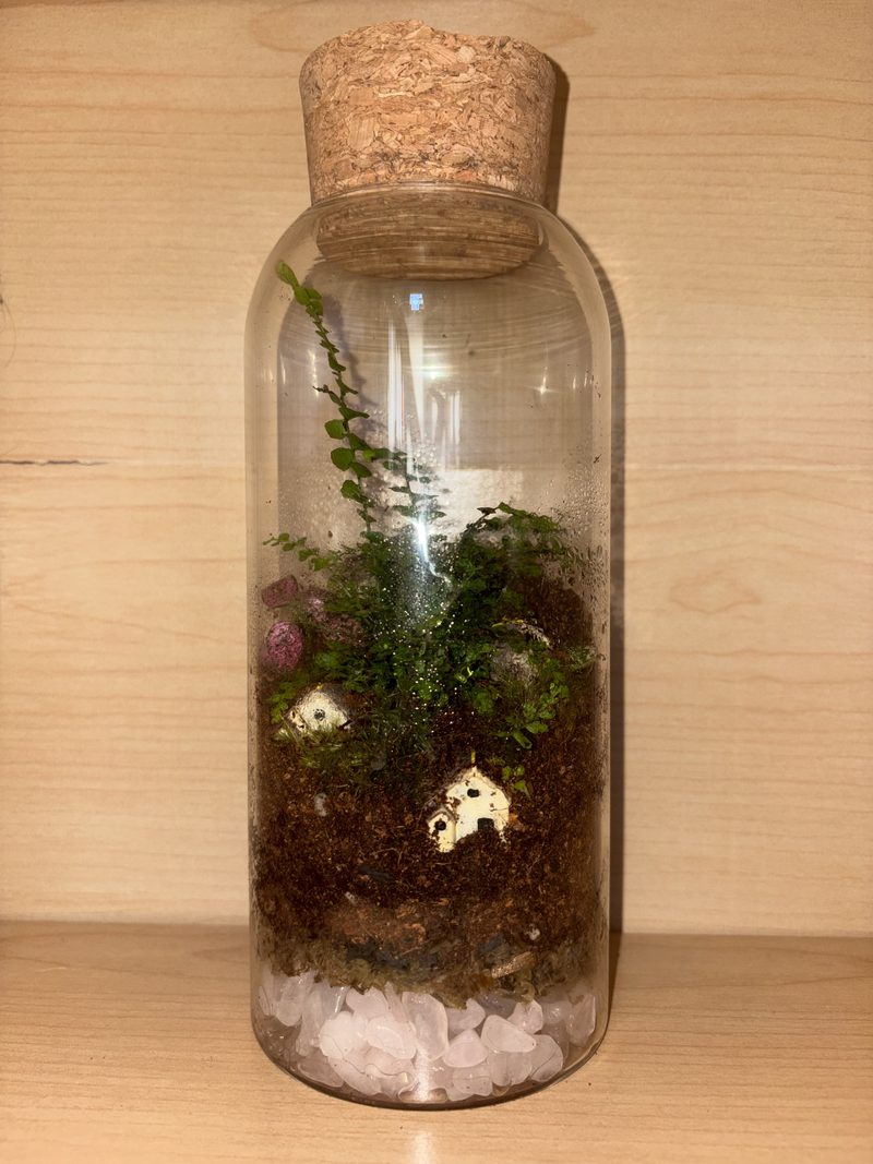 A tall cork-stoppered bottle terrarium with a fern, moss and a tiny mushroom house over white stones.